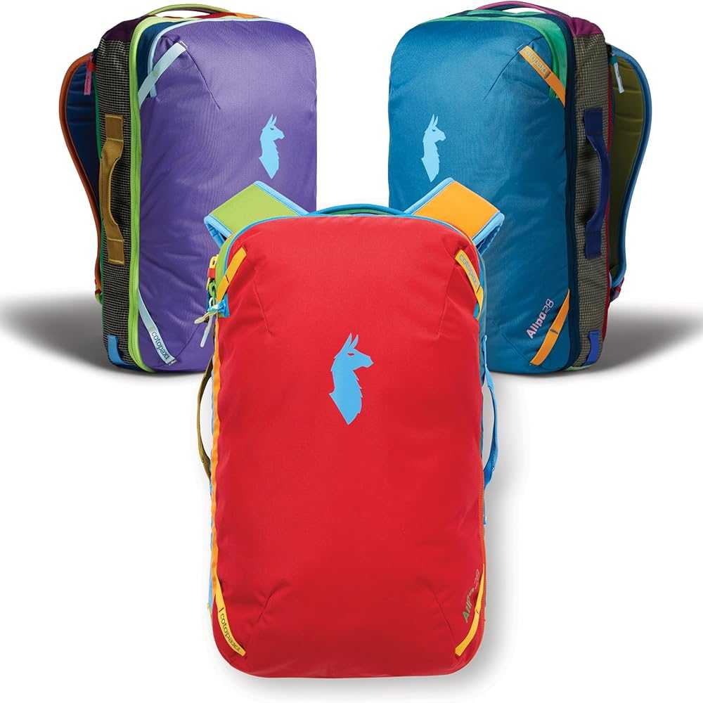 Mochila Cotopaxi Allpa 28L Travel Pack Del Día