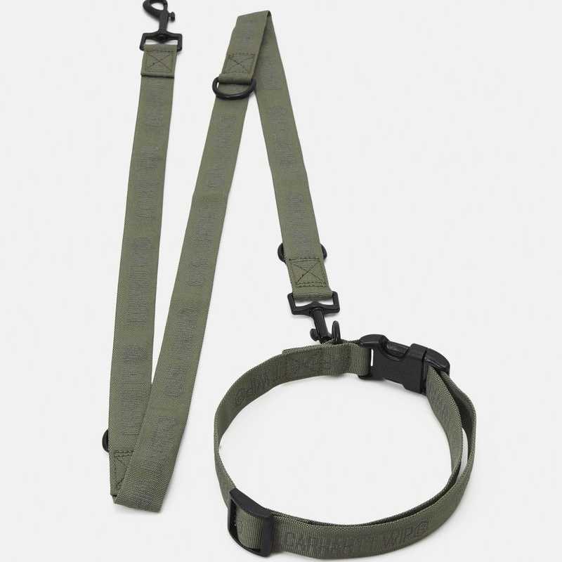 Cinta y Collar Carhartt Wip para Perros Tour Dog