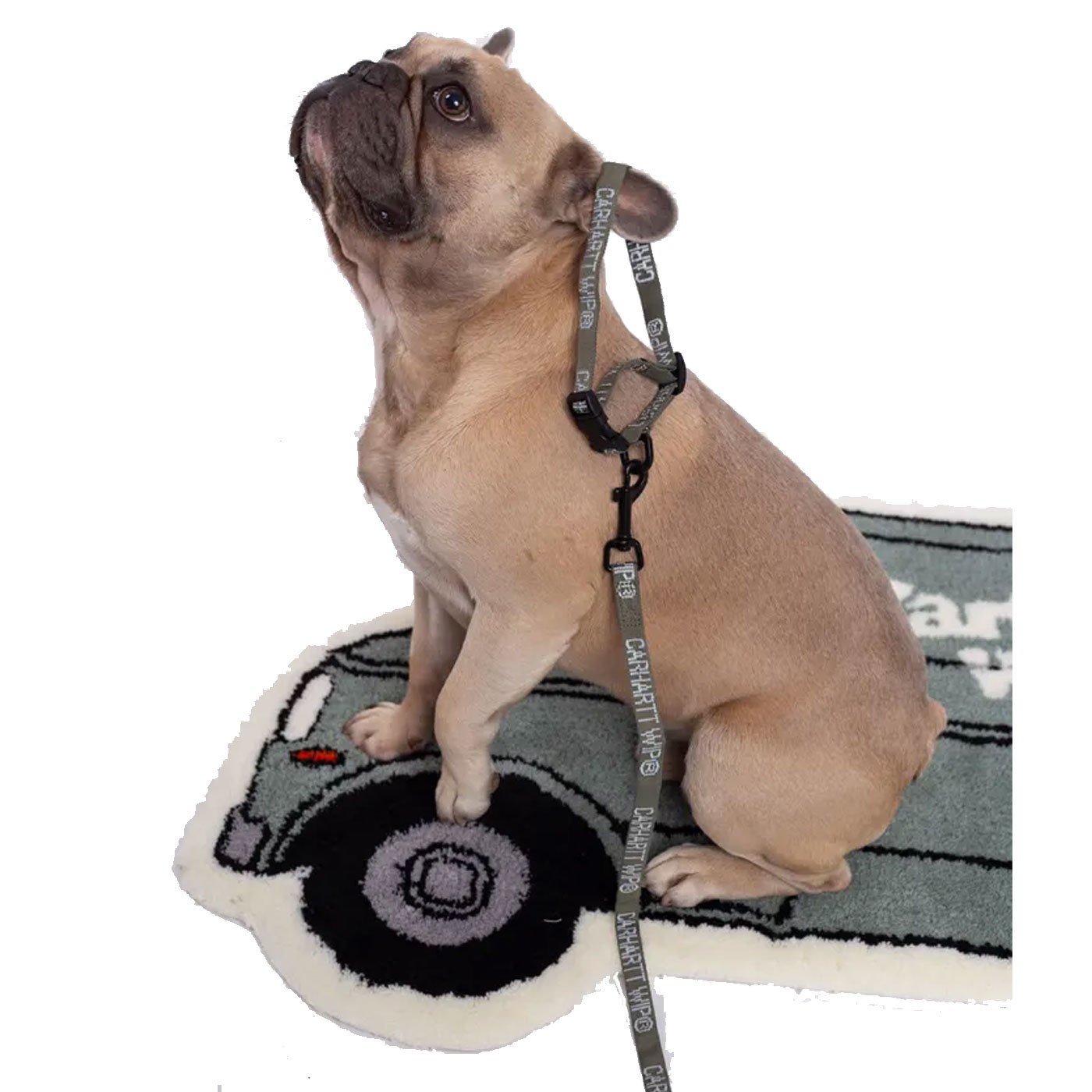 Cinta y Collar Carhartt Wip para Perros Tour Dog