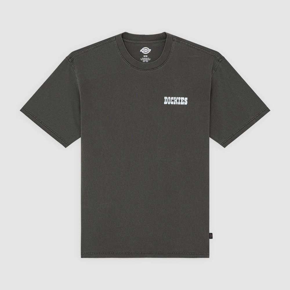 Camiseta Dickies Buchtell SS Black